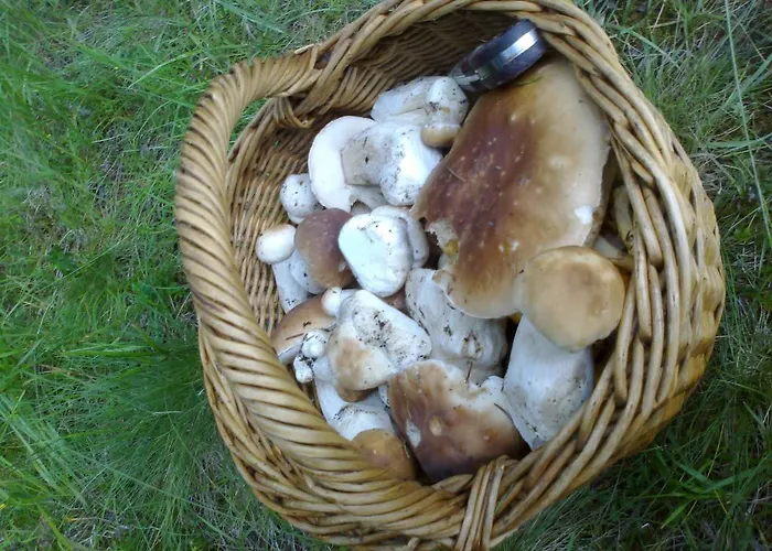 Pod Kýčerou